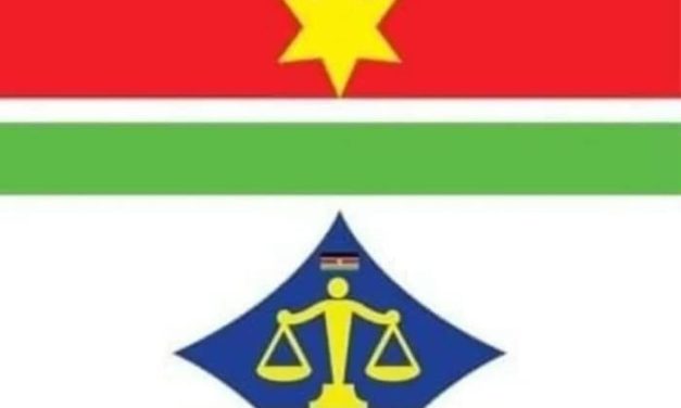 ختام الدورة التدريبية لتدريب المدربين بحركة العدل والمساواة السودانية الجديدة