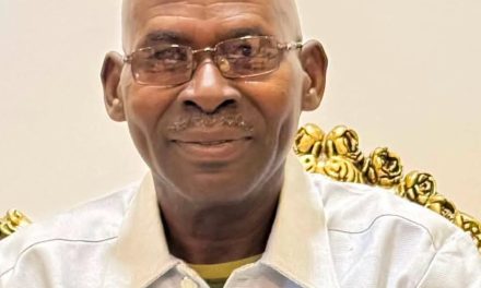 بطاقة تعريفية عن السيد/ حاكم اقليم دارفور بحركة العدل والمساواة السودانية الجديدة